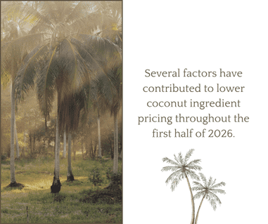 Why have coconut ingredient prices softened? - The Coconut Cooperative -